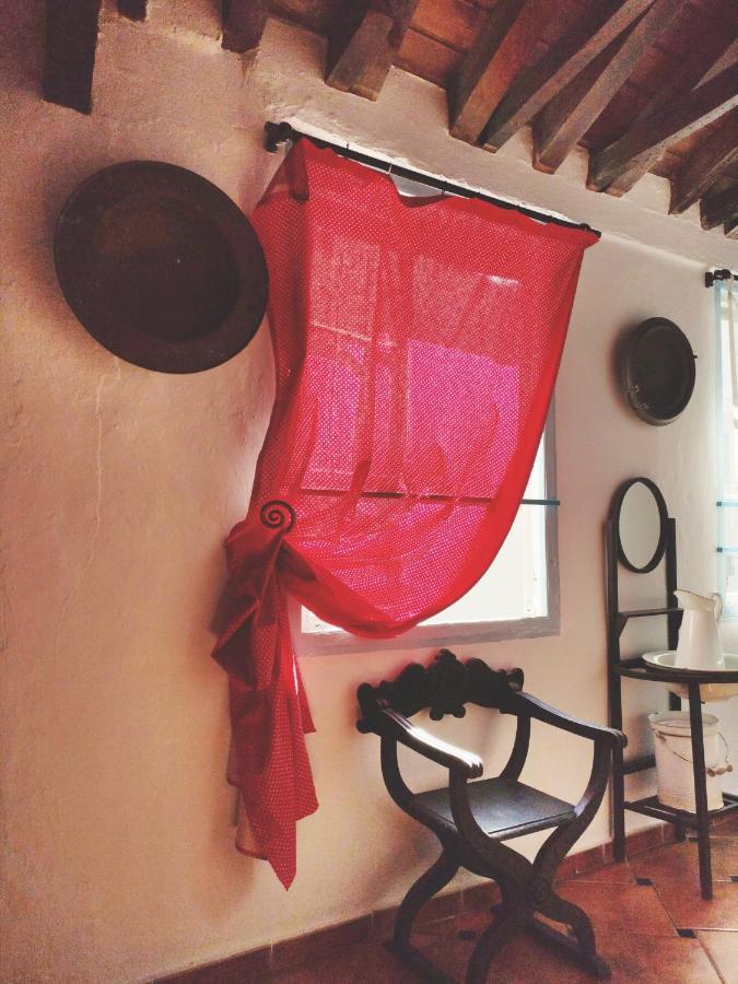 Hostel Patio 19 Malaga Ngoại thất bức ảnh