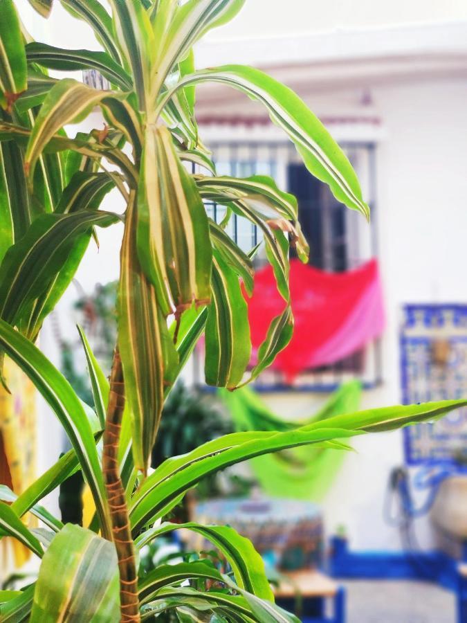 Hostel Patio 19 Malaga Ngoại thất bức ảnh